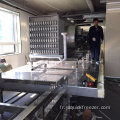 IMPACT Tunnel Freezer pour le traitement des poissons